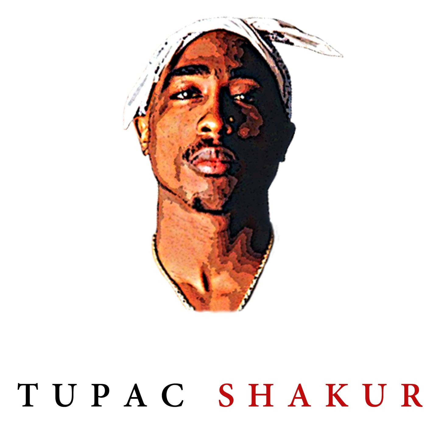 2PAC TUPACK SHAKUR ILLUSTED T-SHIRT AND MINIATURE VINYL